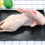 Vịt cỏ (vịt đồng) còn sống loại 1 đảm bảo ngon và an toàn